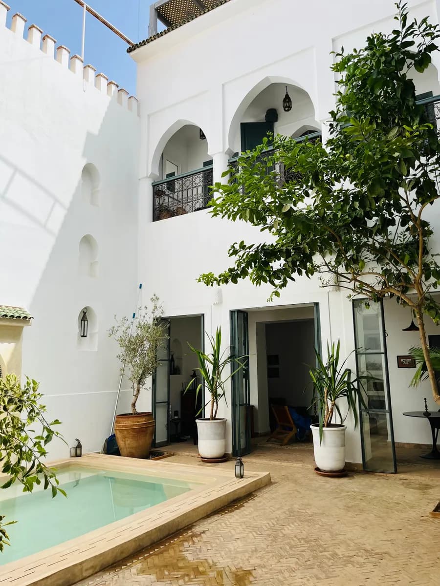BookNoFees example image: Riad courtyard with a small pool and lush plants