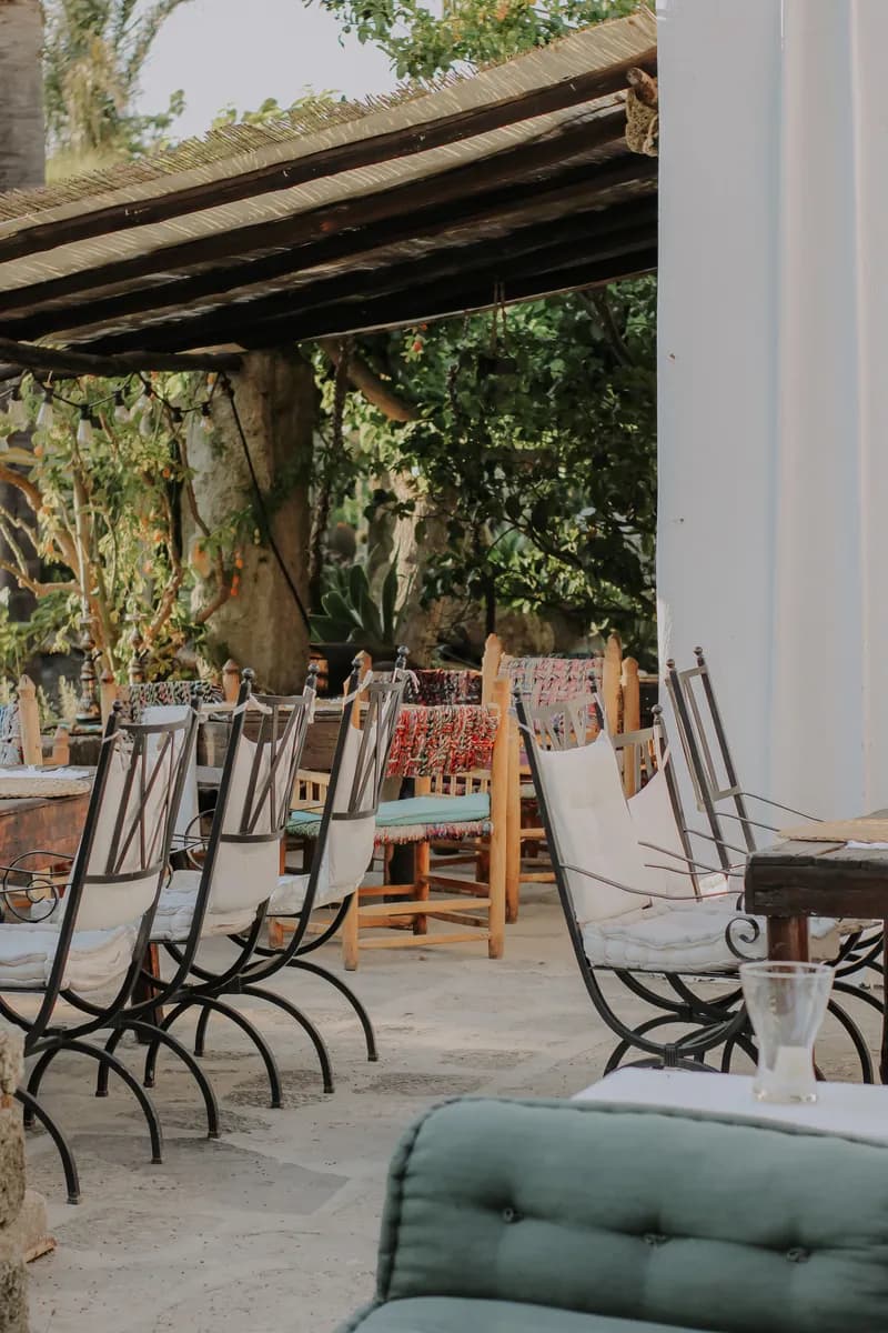 BookNoFees example image: Seating area with chairs amongst lush green plants