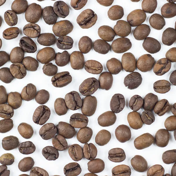 BookNoFees: Café – MTRM Roast Kávéműhely és Bemutatóterem – Budapest – MTRM Roast Coffee Workshop and Showroom, photo 1
