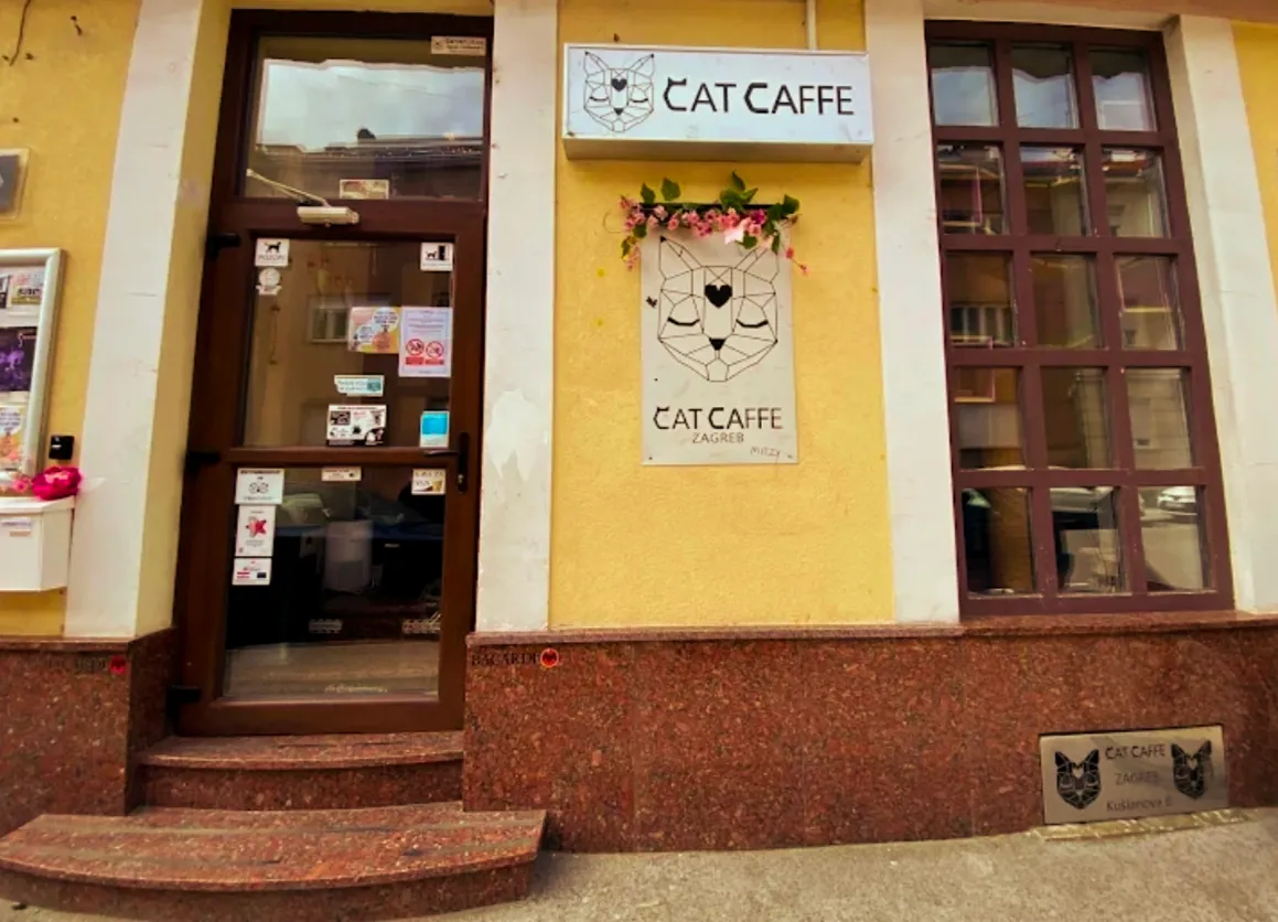 BookNoFees: Café – Cat Caffe – Zagreb – Cat Caffe, photo 1