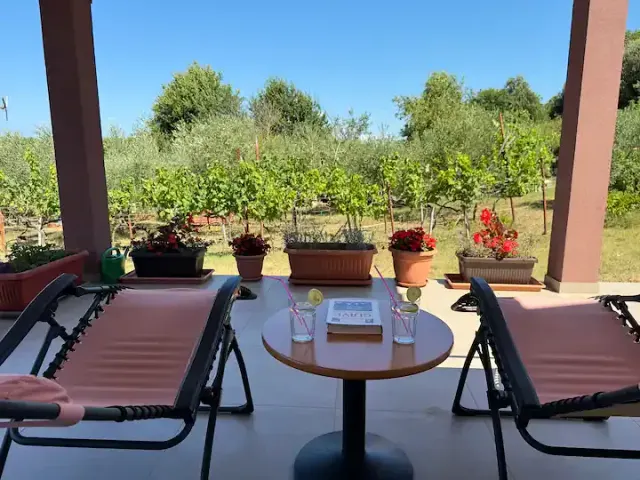 BookNoFees: Alisa’s charming little house in a quiet, central and new location – Vinkuran