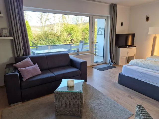 BookNoFees: A peaceful holiday flat on Lake Sorpe with a fireplace and a balcony – Sundern