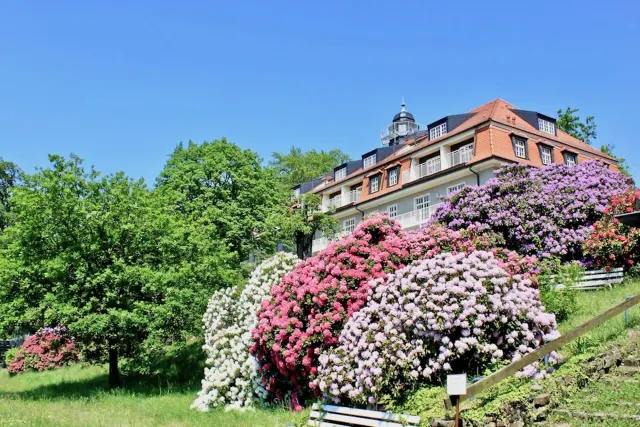 BookNoFees: Nature and Art Holiday Flat, Dresden, Saxon Switzerland – Dresden