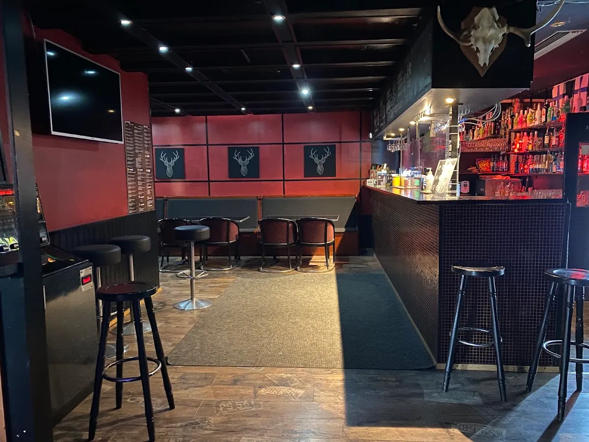 BookNoFees: Restaurant – Bar Bumerang – Helsinki – Boomerang Bar, photo 1