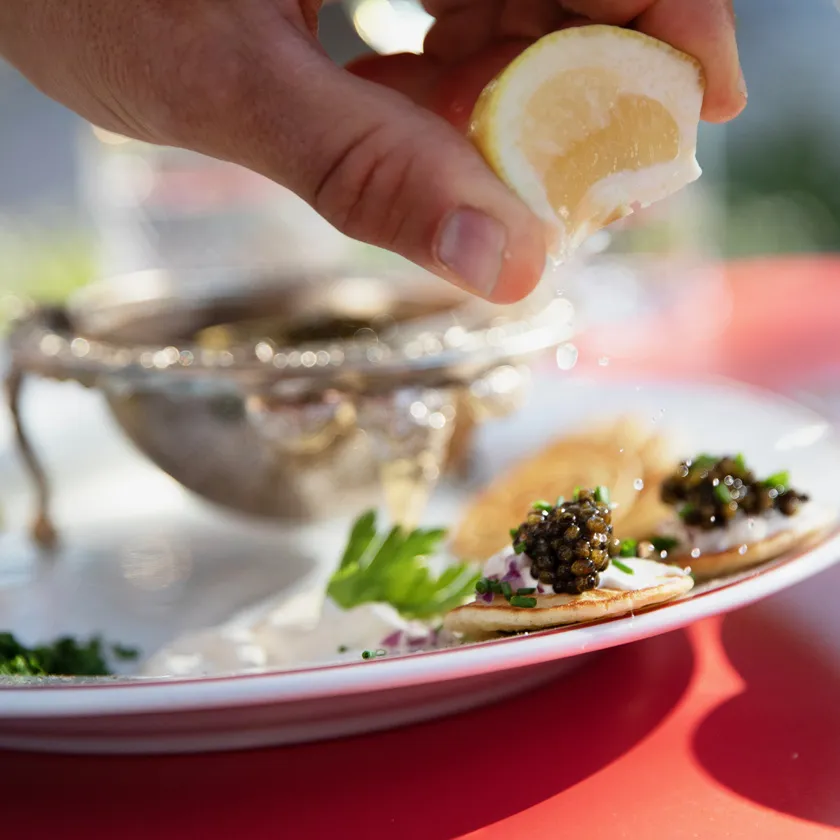BookNoFees: Snack bar – Gentofte Bistro – Copenhagen – Gentofte Bistro, photo 1