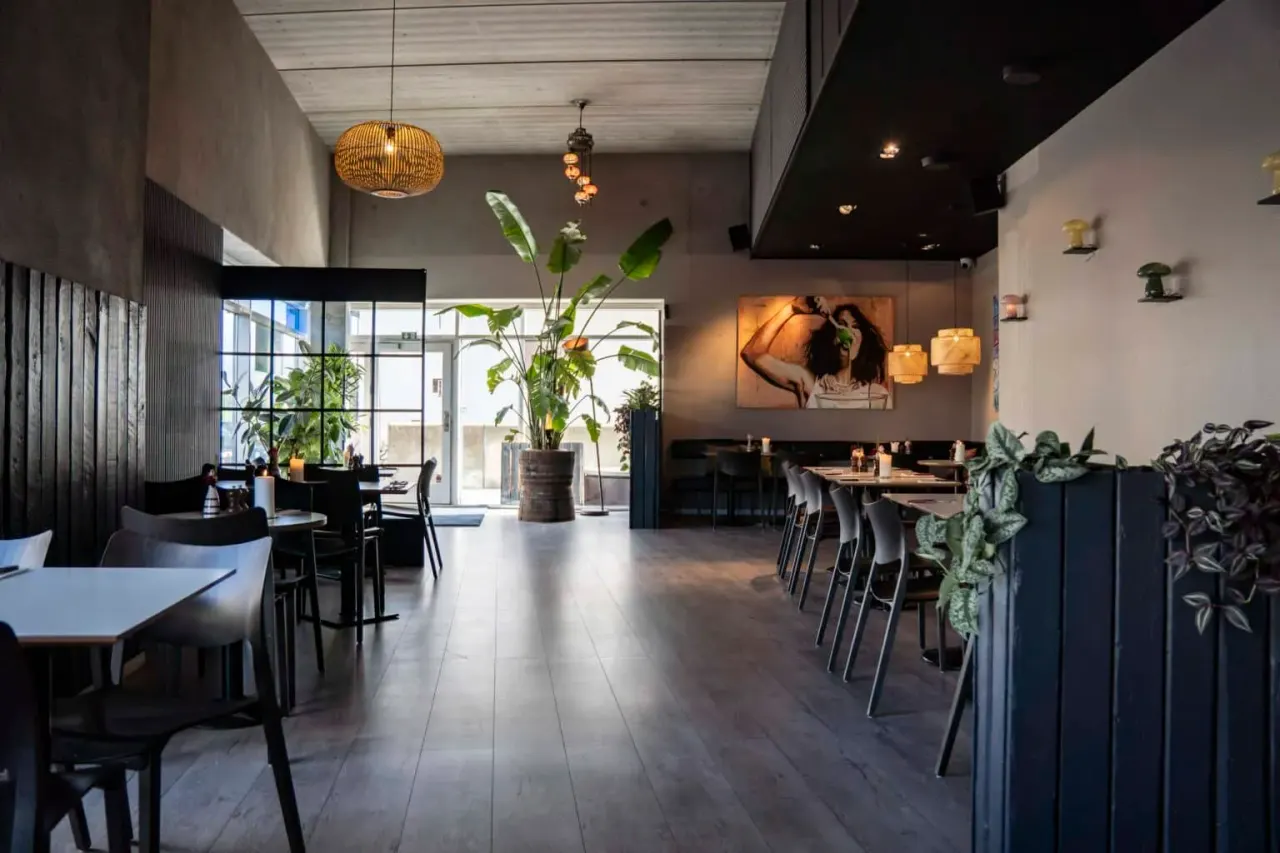 BookNoFees: Café – Café Phenix - Amager – Copenhagen – Café Phenix – Amager, photo 1