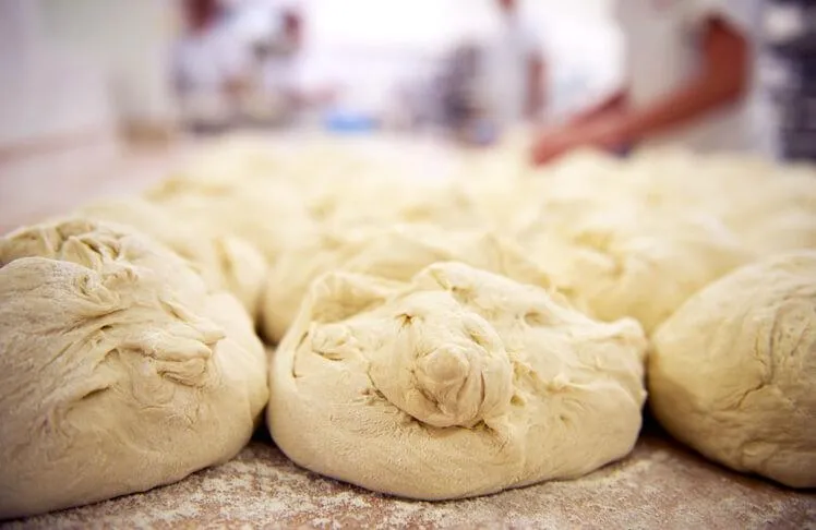 BookNoFees: Bakery – Aranycipó – Budapest – Spiderweb, photo 1