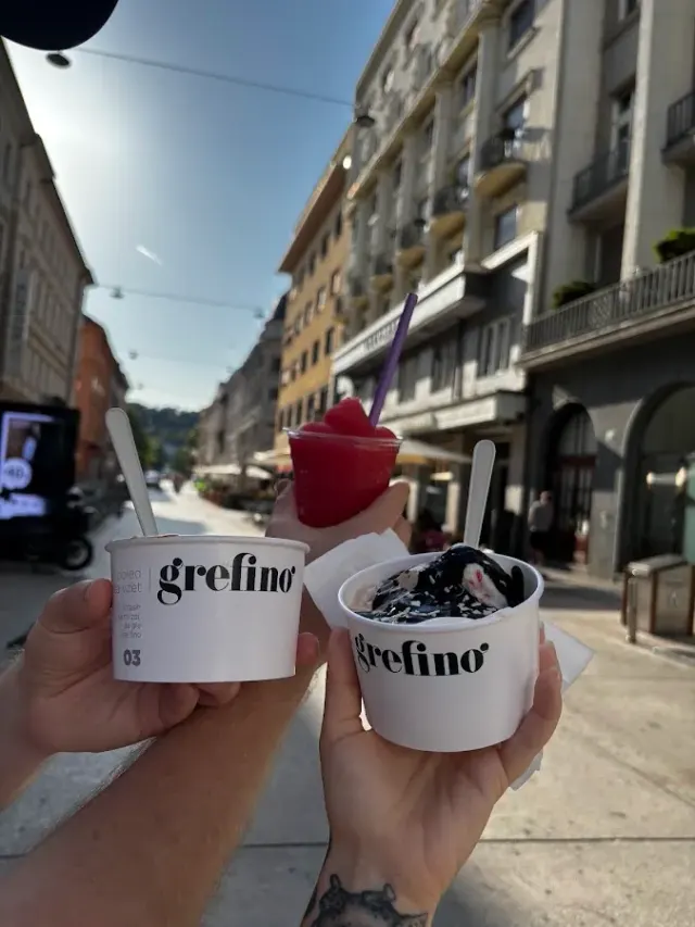 BookNoFees: Ice cream – Grefino – Ljubljana – Grefino, photo 2