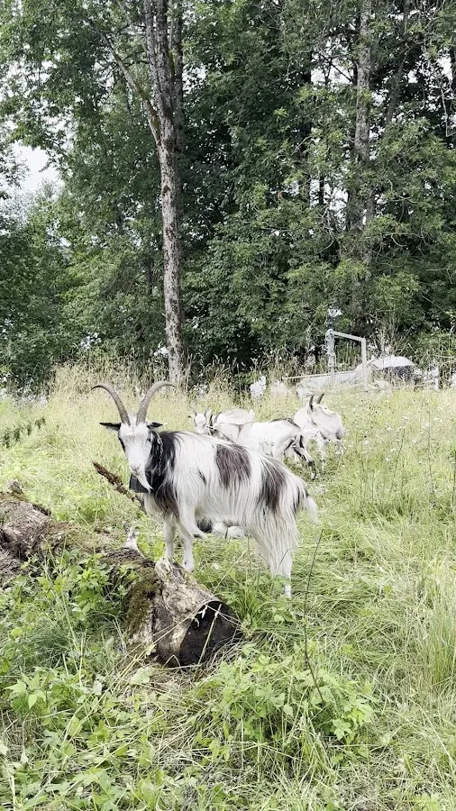 BookNoFees: Café – Bogstad gård kafé – Oslo – Bogstad Farm Café, photo 2