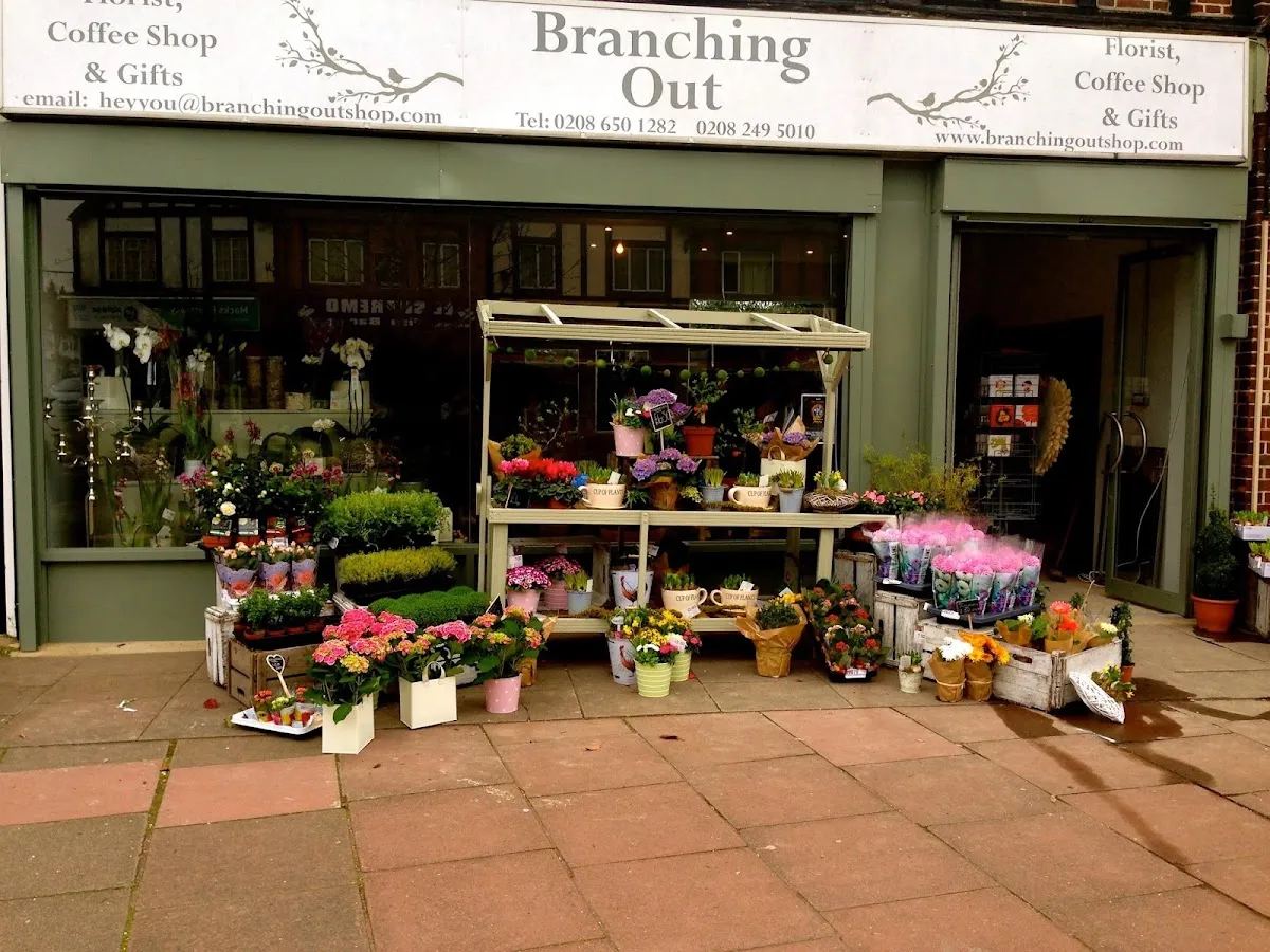 BookNoFees: Café – Branching Out – London – Branching Out, photo 1