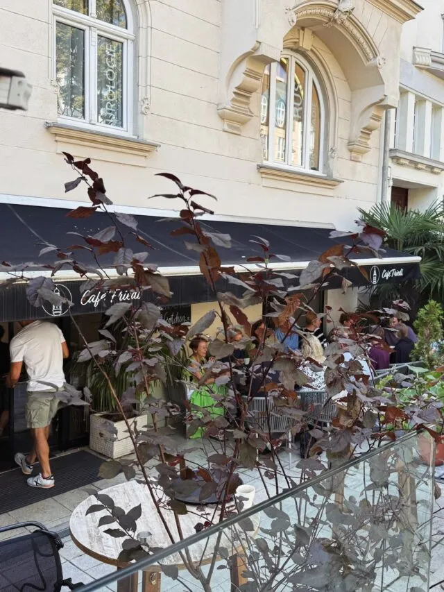 BookNoFees: Café – Café Friedl – Vienna – Café Friedl, photo 3