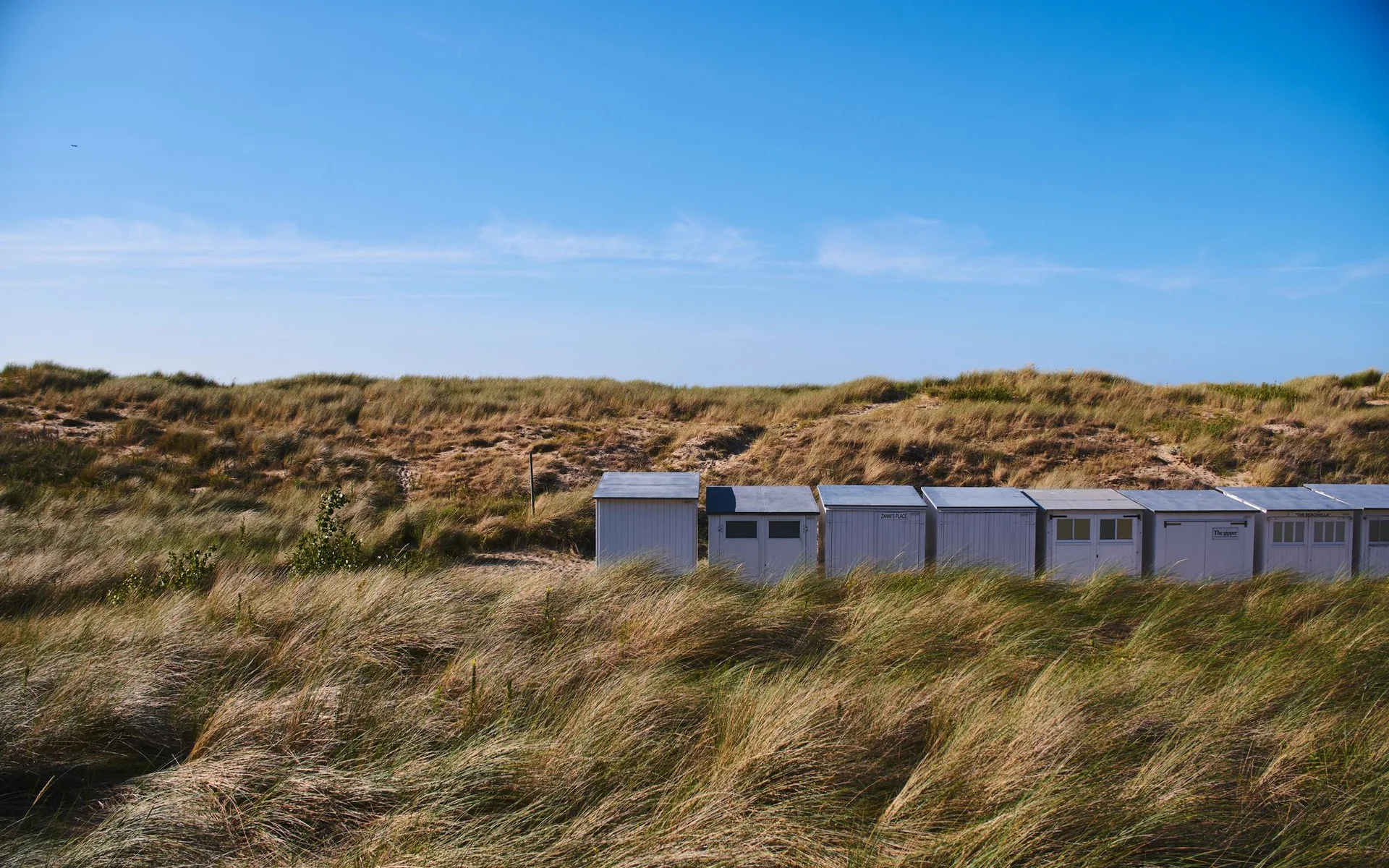 Beach houses among the dunes in Knokke-Heist