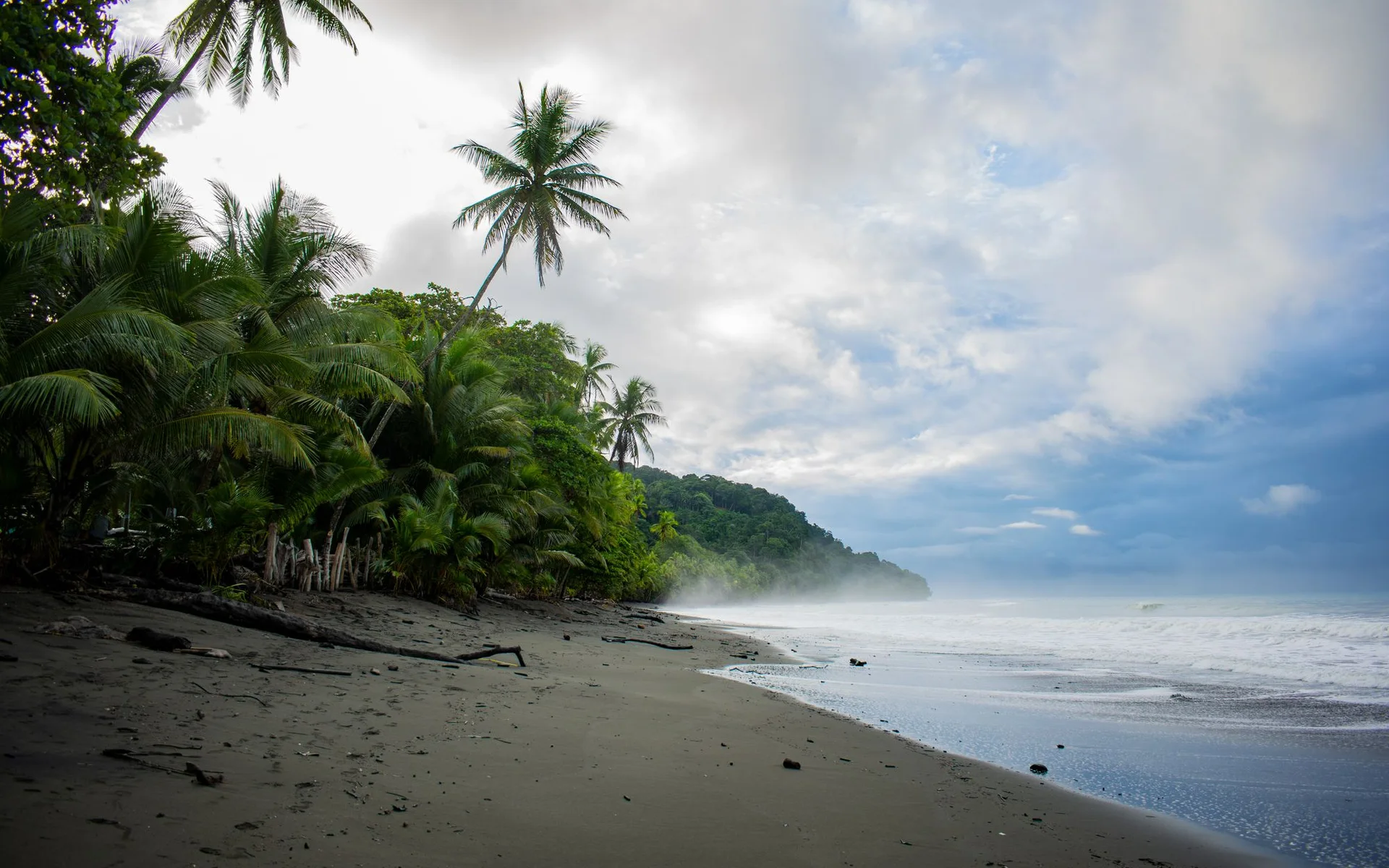 Palm trees on Pavones Beach in Costa Rica