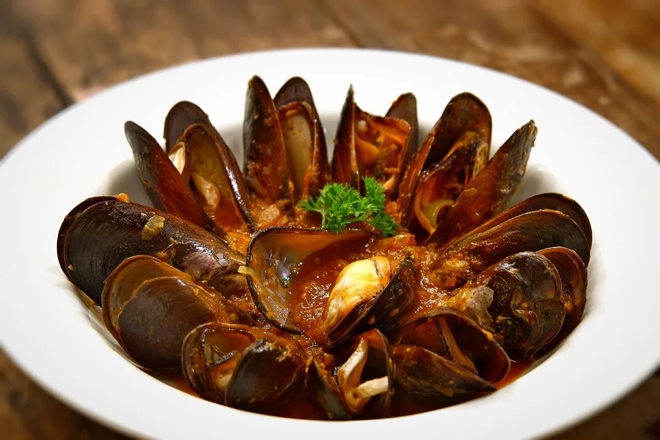 BookNoFees: Example photo: Cooked mussels served in a deep plate