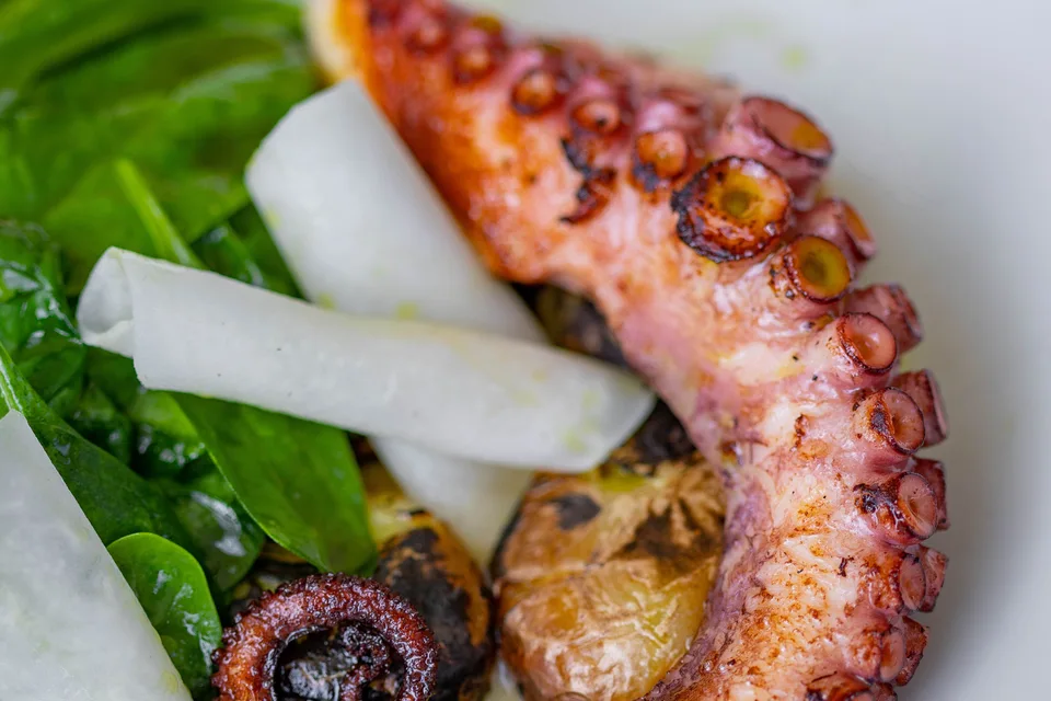 BookNoFees: Example photo: Grilled octopus